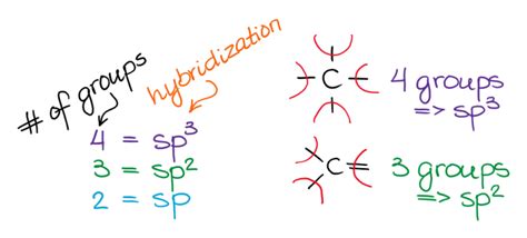 hybridization chemistry for dummies.
